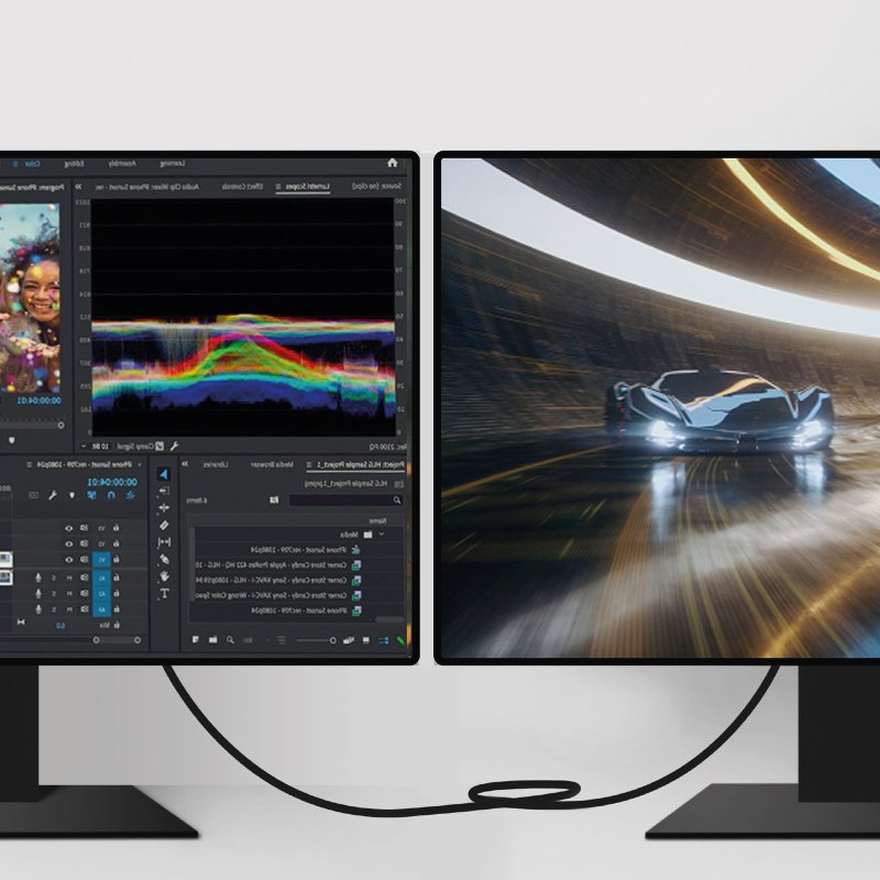 Cable with 2 male DisplayPort connectors