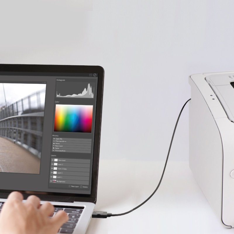 Type A-B male USB printer cable