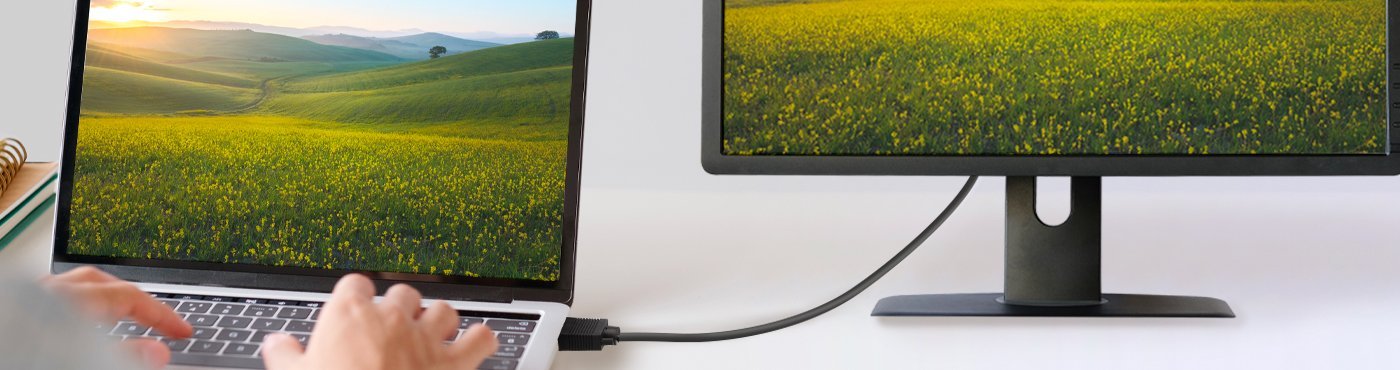 The best VGA cables for laptops, TVs, screens | Ekon